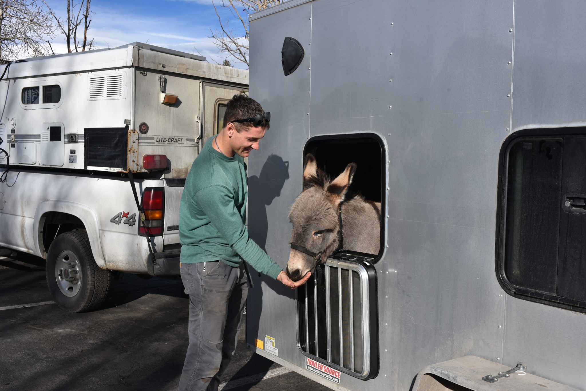 Fastest Donkey Summit County’s fastest-growing influencer is a donkey | SummitDaily.com