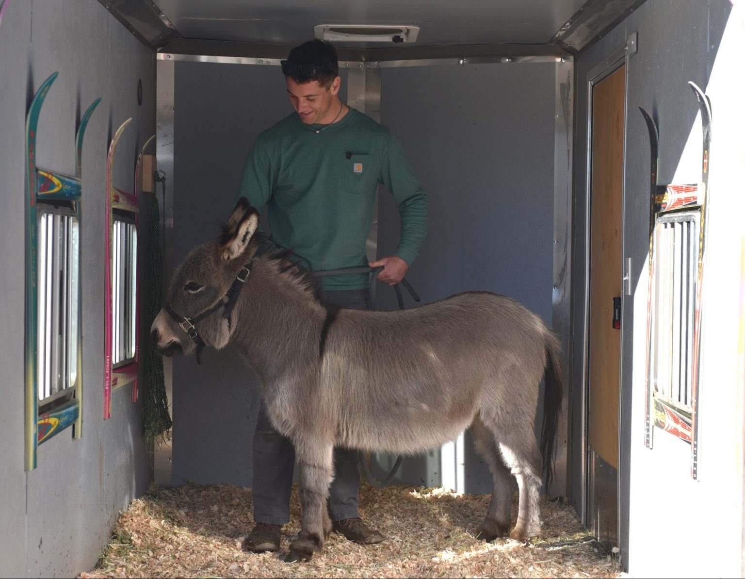 Fastest Donkey Summit County’s fastest-growing influencer is a donkey | SummitDaily.com