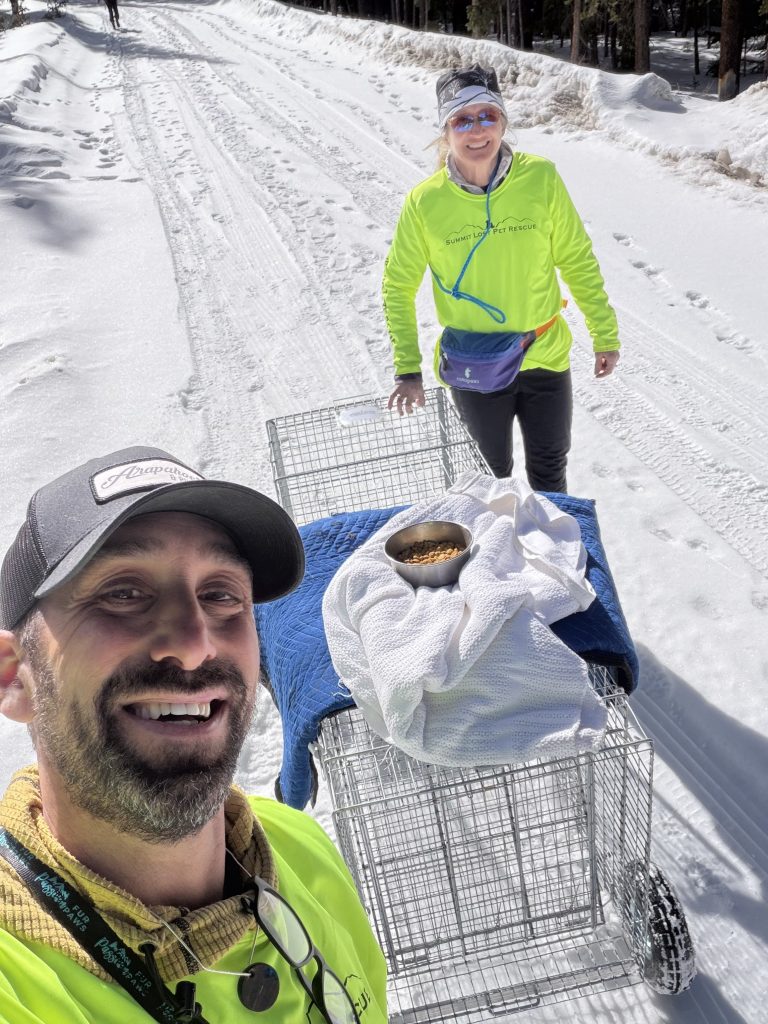 Dog missing in Colorado’s mountains for 43 days reunited with owner ...