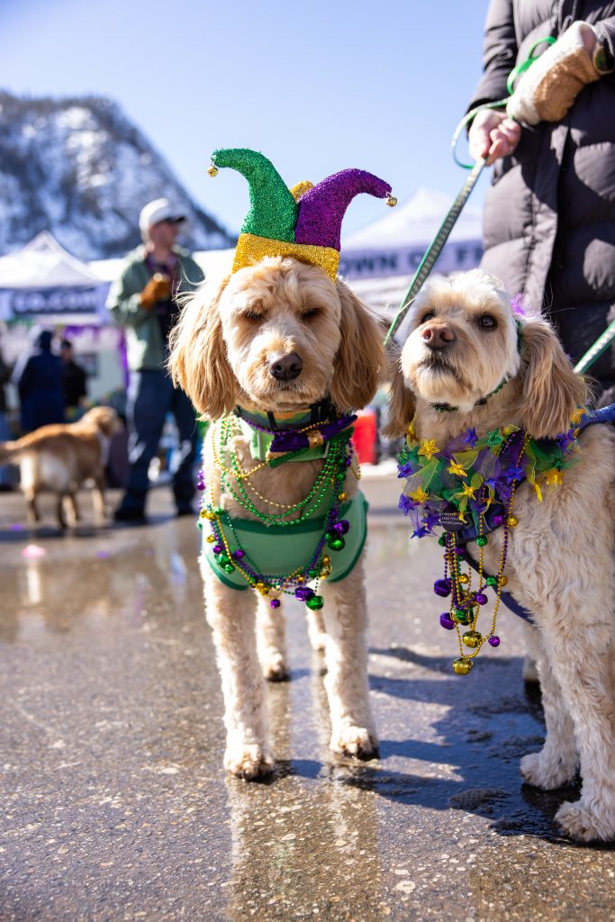 PHOTOS: Mardi Gras 4Paws takes over downtown Frisco | SummitDaily.com
