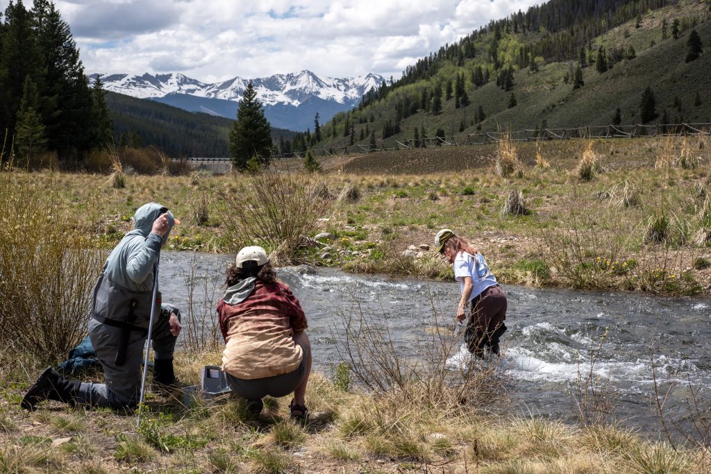 Get Wild: Collecting data to inform watershed health 
