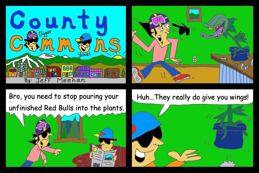 County Commons: Wings
