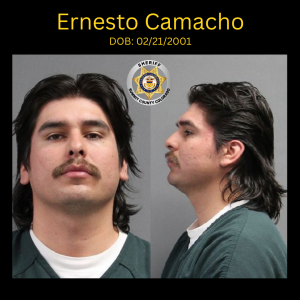 Investigators find 26 shell casings after arresting man in Dillon on charges of attempted murder