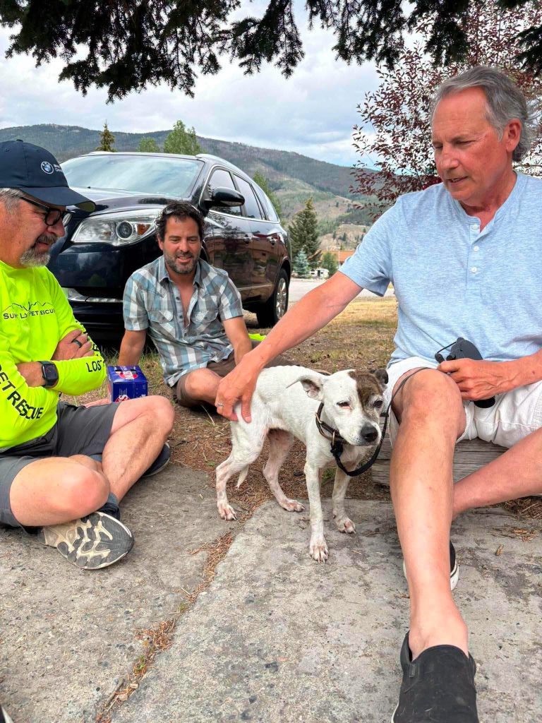 12-year-old dog dodges mountain lions, travels 50 miles over 33 days in Colorado mountains before reuniting with owner