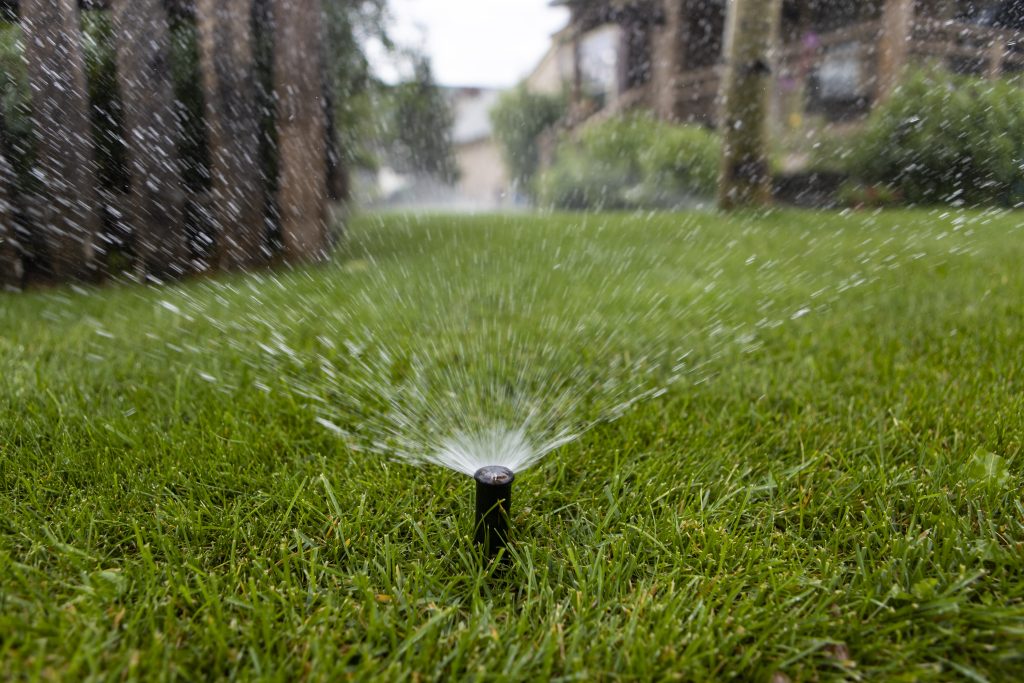 Ask Eartha: How do water restrictions work?