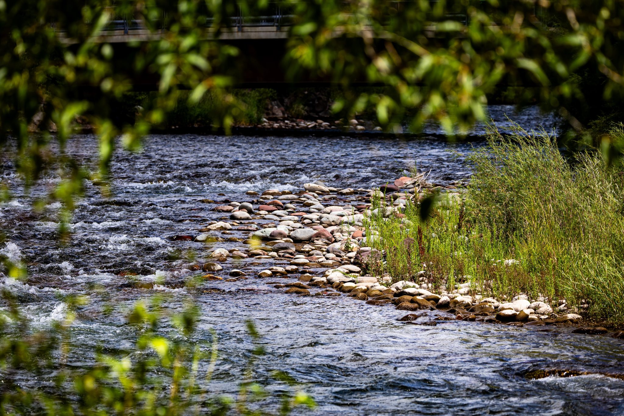 Fishing closure lifted on Roaring Fork River, other rivers remain under ...