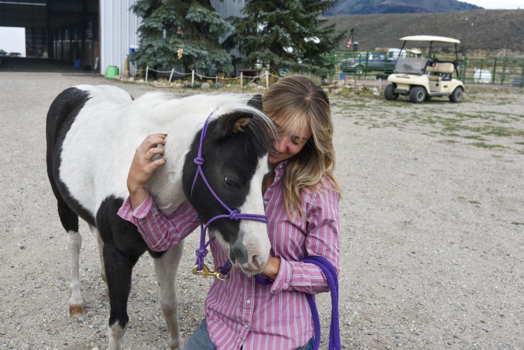 At the Summit Valley Horse Center, good things come in miniature packages