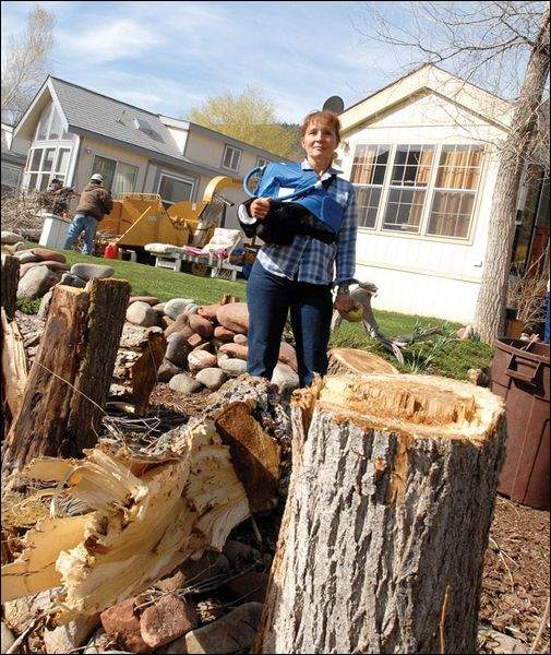 Tree cutting outrages residents of Glenwood mobile home park