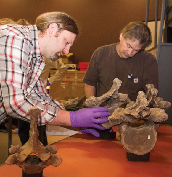 “Discover the world’s most beautiful ice age foѕѕіɩѕ” Revive ice age beasts in Snowmass village