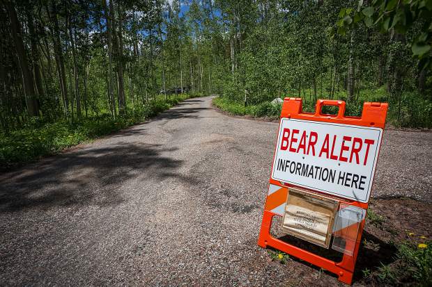 Bear's presence means camping restrictions at Weller | AspenTimes.com