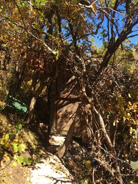 The front door of a shack built on Aspen Mountain near LIft 1A was well camouflaged in the thick brush.