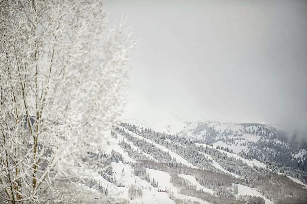 Fresh snow on Snowmass Mountain this morning.