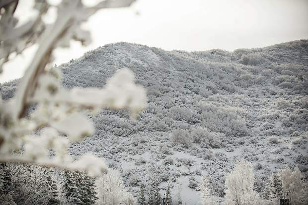 New snowfall in Snowmass from the Monday storm.