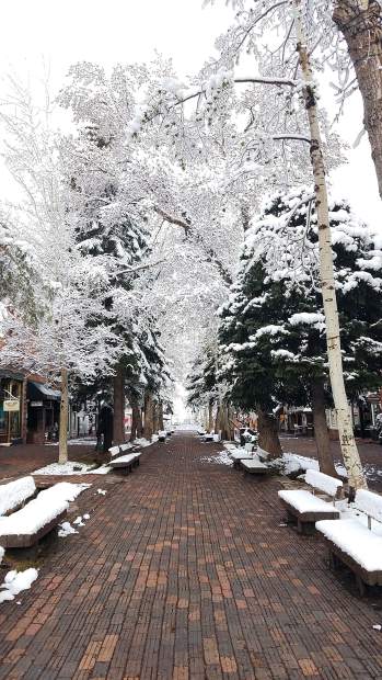 Quiet, snowy morning Tuesday along the Hyman Avenue mall in Aspen.