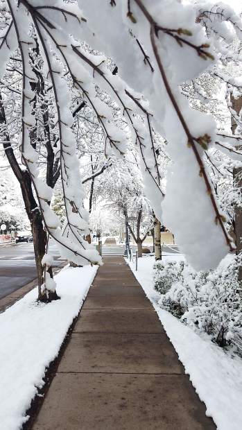 A heavy, stick snow put a soft blanket on Aspen overnight.