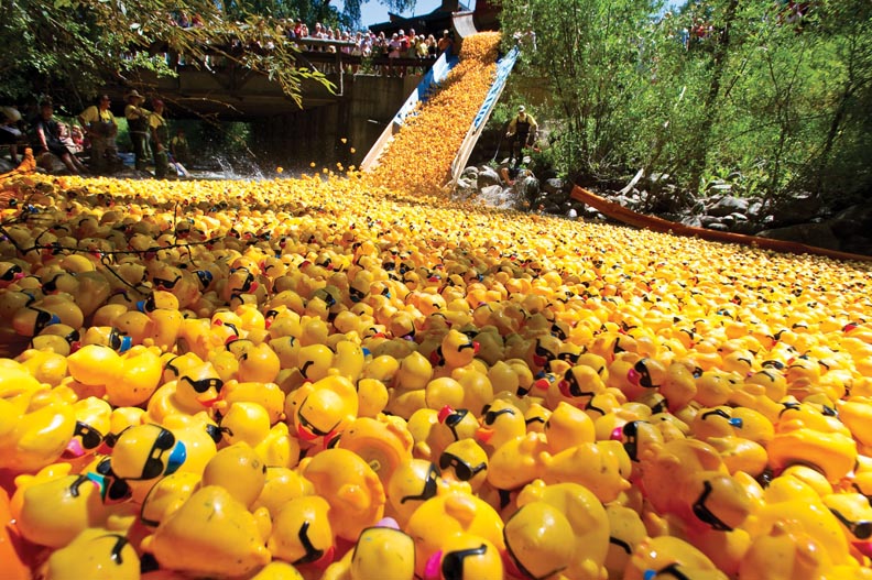 Glenwood man wins 10,000 in Ducky Derby