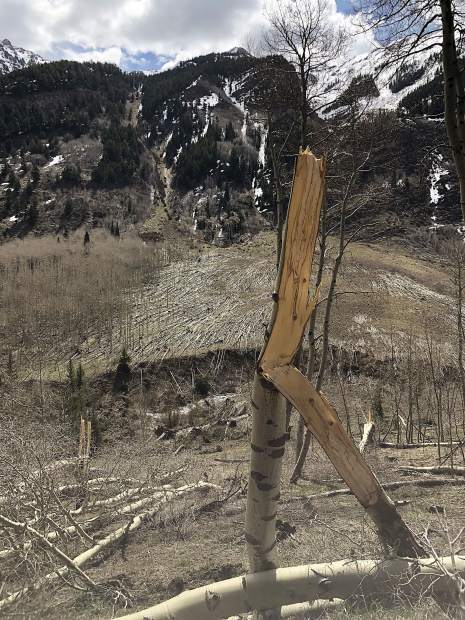 Avalanche debris along Maroon Creek Road that that came up and over the road.