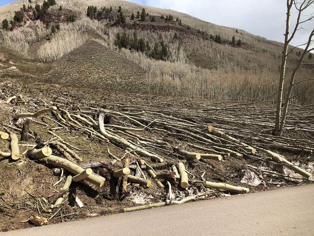 Another avalanche path, this time on the west side of Maroon Creek Road, that took out hundreds of aspen trees. Firefighters from Aspen and Glenwood Springs cut and cleared the trees.