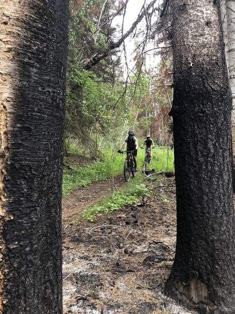 Cyclists on the Mill Creek Trail ride Friday through green grass framed by scorched tree trunks in the Lake Christine Fire burn scar.