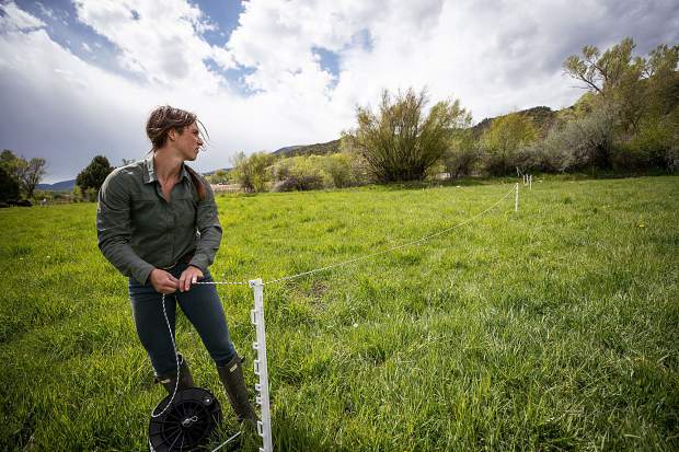 Female farmers are fueling agriculture’s resurgence in the Roaring Fork ...