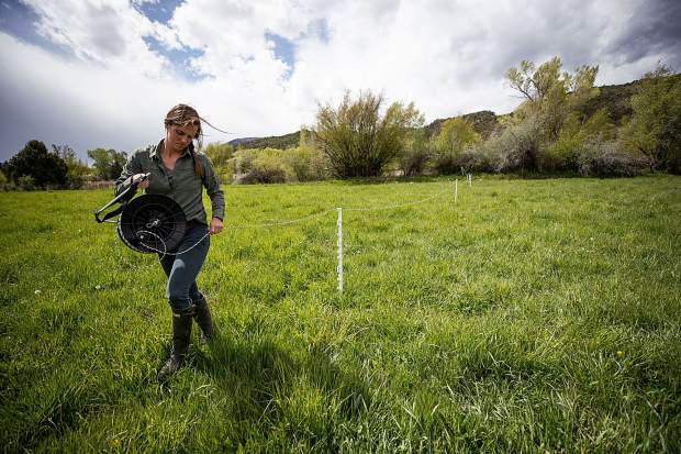 Female farmers are fueling agriculture’s resurgence in the Roaring Fork ...