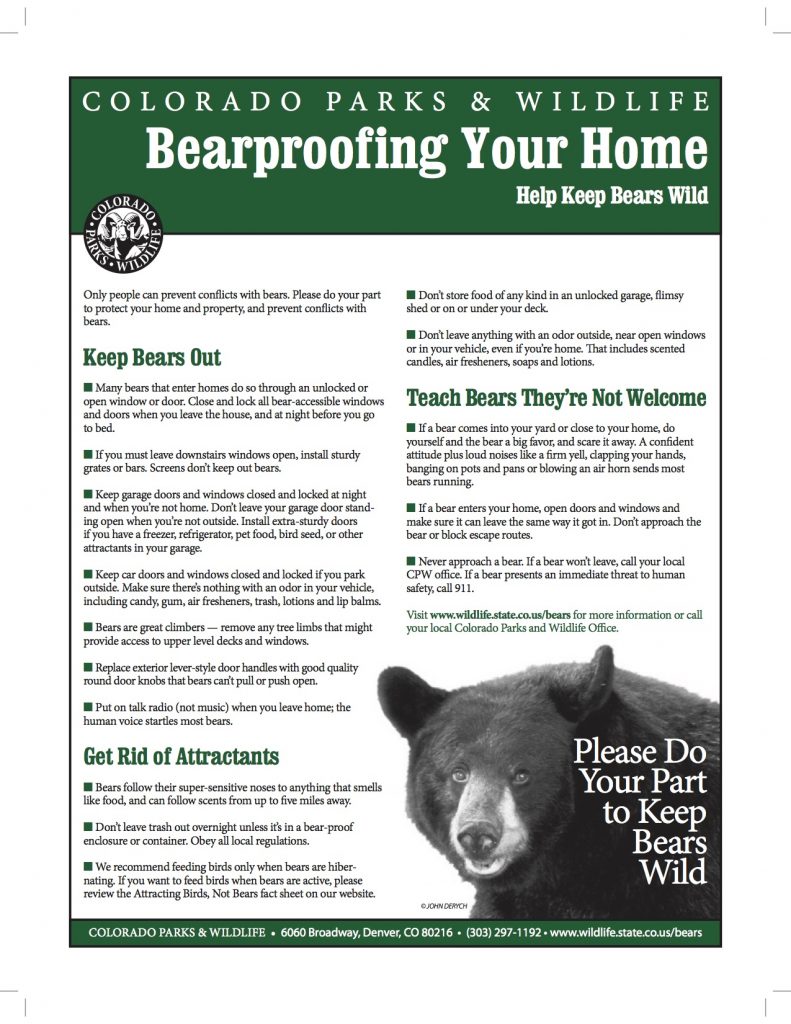 Bear Complex: How to Do, Pro Tips & Safety Measures