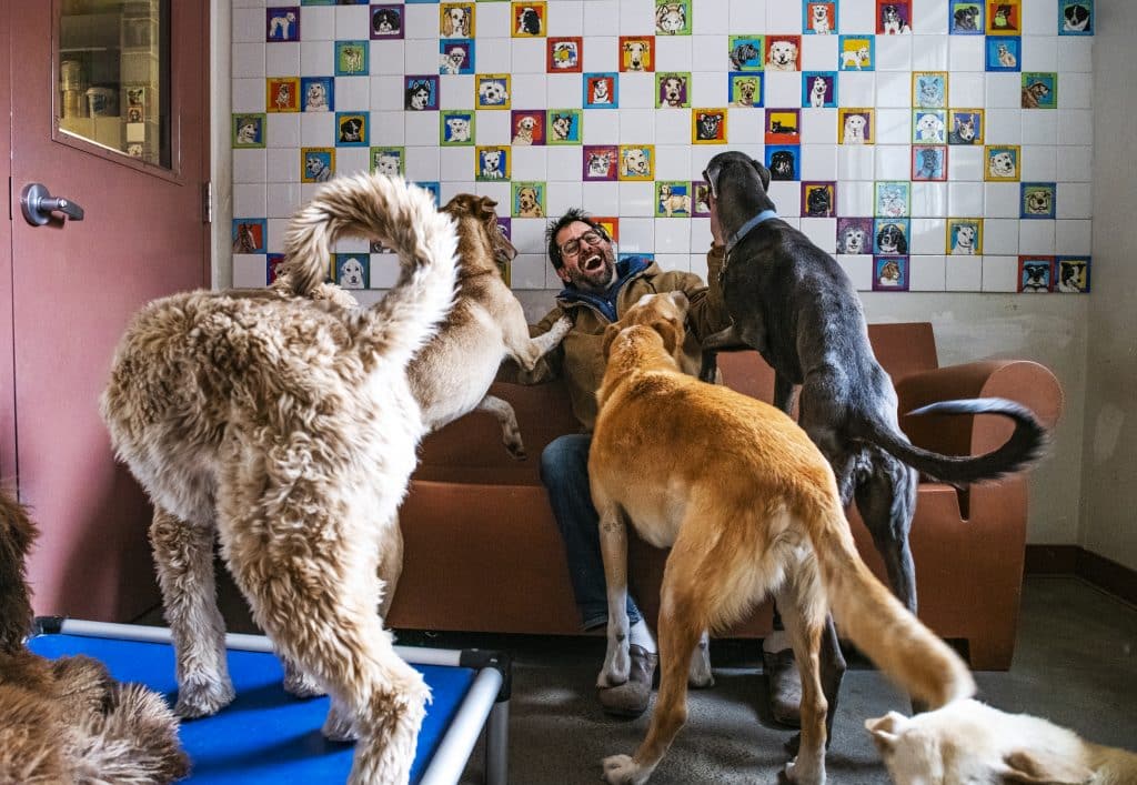 Aspen Animal Shelter director Seth Sachson sits in the office with a number of his dogs on Friday, March 27, 2020. Sachson started working at the Aspen Animal Shelter 28 years ago after he finished college. “We’ve gone through 9/11, the recession and this is just insane,” said Sachson about the current COVID-19 pandemic. “We went from 100 miles an hour to one mile an hour…even through the coronavirus, we’re here standing to take care of the homeless pets that are seeking shelter.” To be respectful of social distancing expectations, the shelter is only doing adoptions through appointments at this time. 