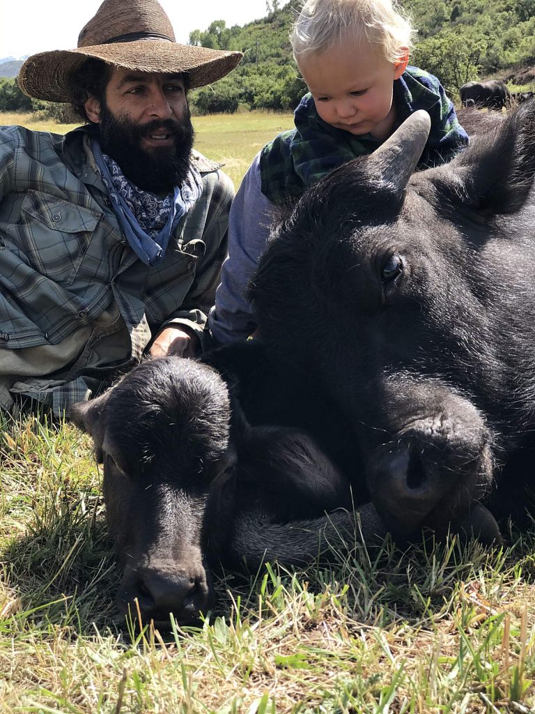The water buffalo calf, center, was born in Tuesday's snowstorm and named Tormenta. Jose and Wekta Miranda check out the calf on Wednesday. Jose is owner of Rocking TT Bar Water Buffalo Dairy.