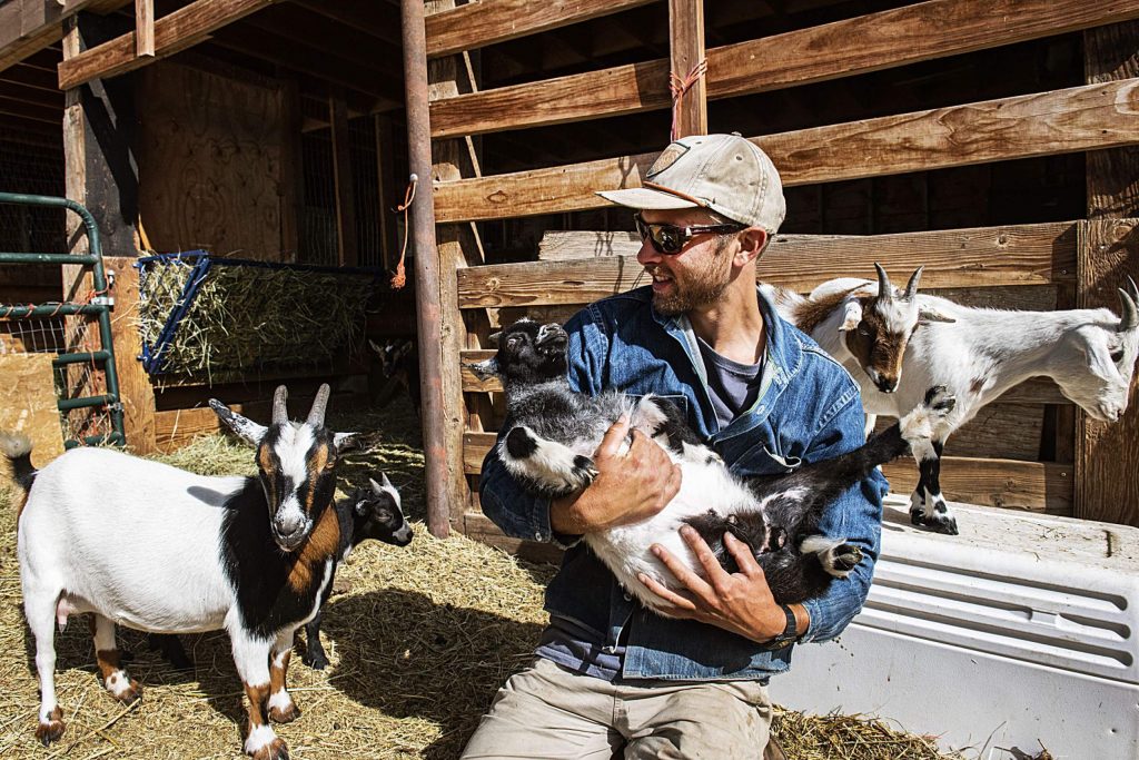 Hayden Kessel, land and livestock manager, holds one of the kids at the Farm Collaborative at Cozy Point Ranch on Wednesday, July 29, 2020. Kessel has been farming for ten years, but this is his first season at the Farm Collaborative. (Kelsey Brunner/The Aspen Times)