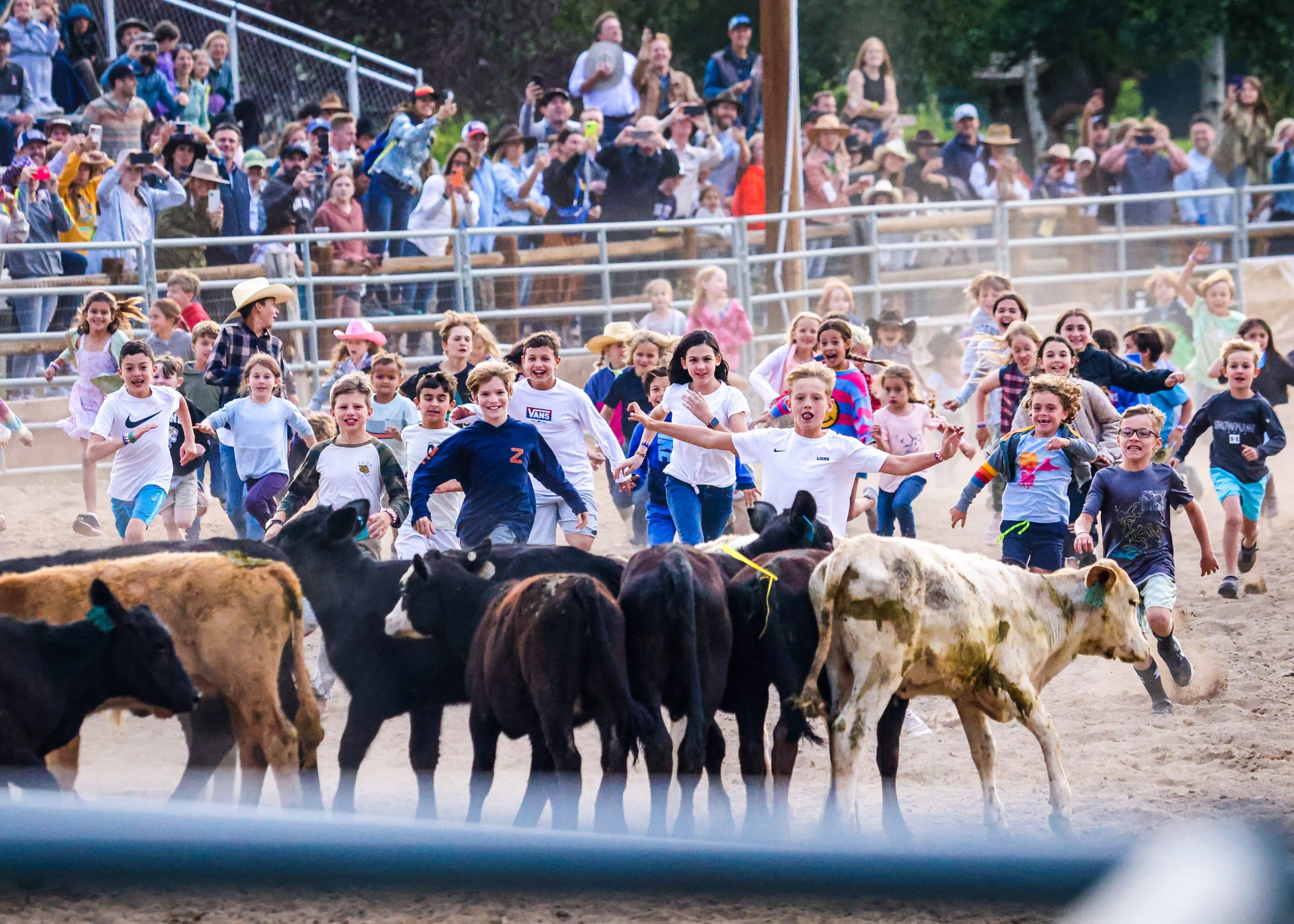 Scurry County Rodeo Safety at crux of rodeo stakeholder concerns about Town Park plans ...