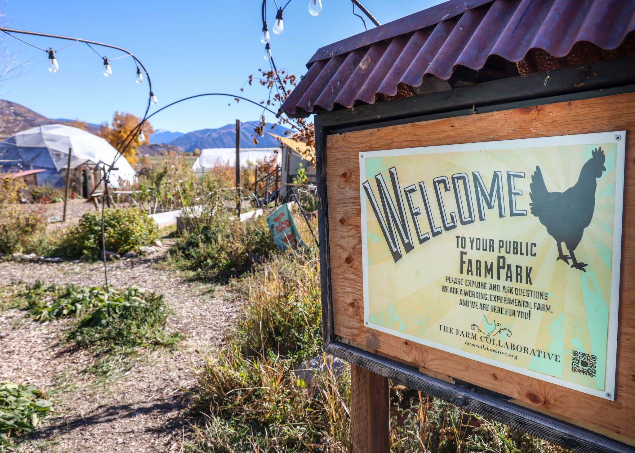 Farm Collaborative to host 16th Annual ‘Farm to Fridge’ community meal ...