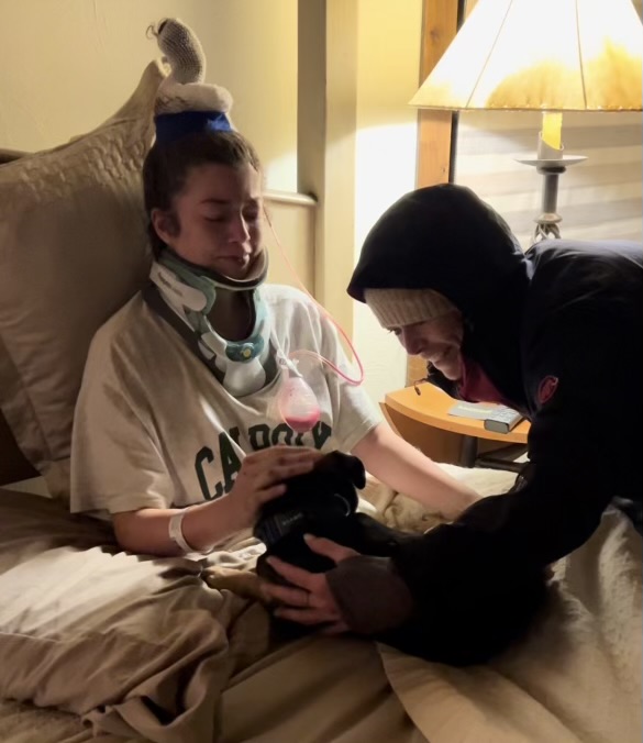 Dog lost in East Vail car accident found alive after 2 nights in the cold - Vimarsana News