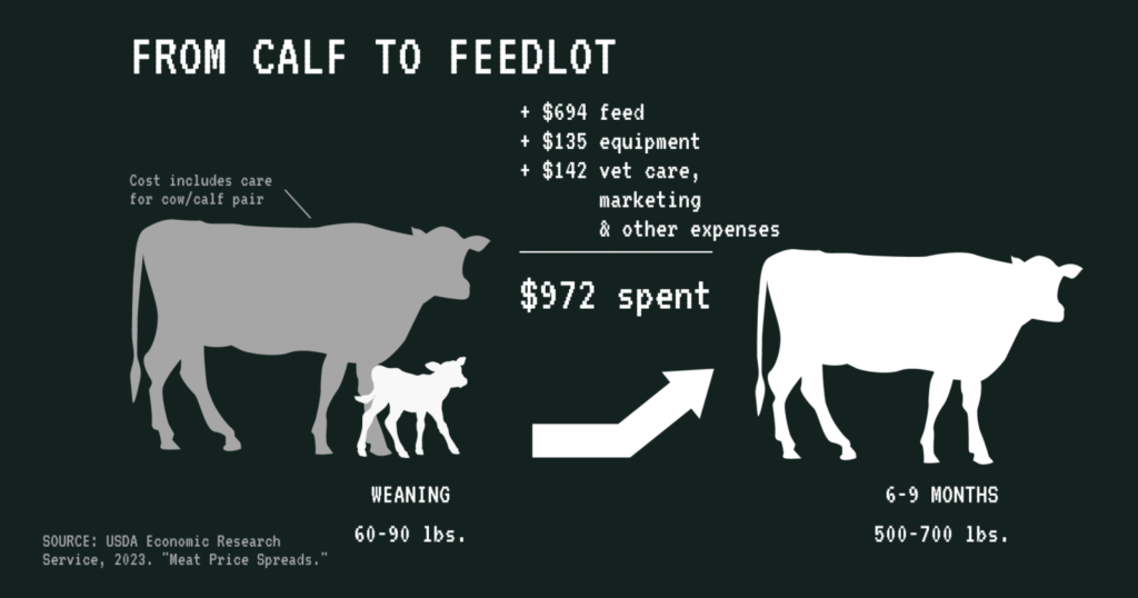 You think a pound of beef is expensive? Wait until you hear what it