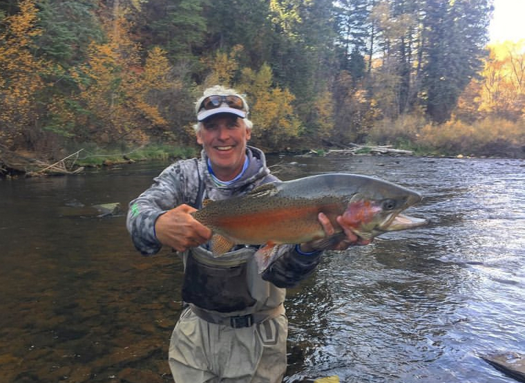 On the fly: Oh, the things you'll see - Vimarsana News