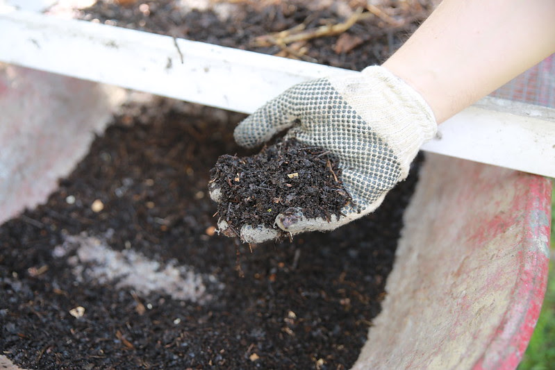 ACES to celebrate Earth Day with free compost, seed packets - Vimarsana News