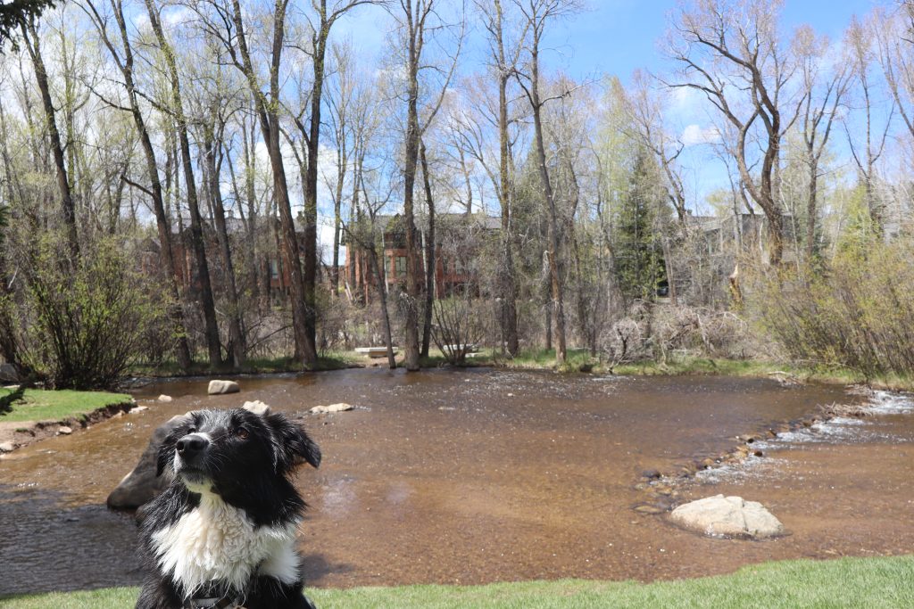 In Brief: Eagle County accepting commission applicants, construction at Herron Park bathrooms - Vimarsana News