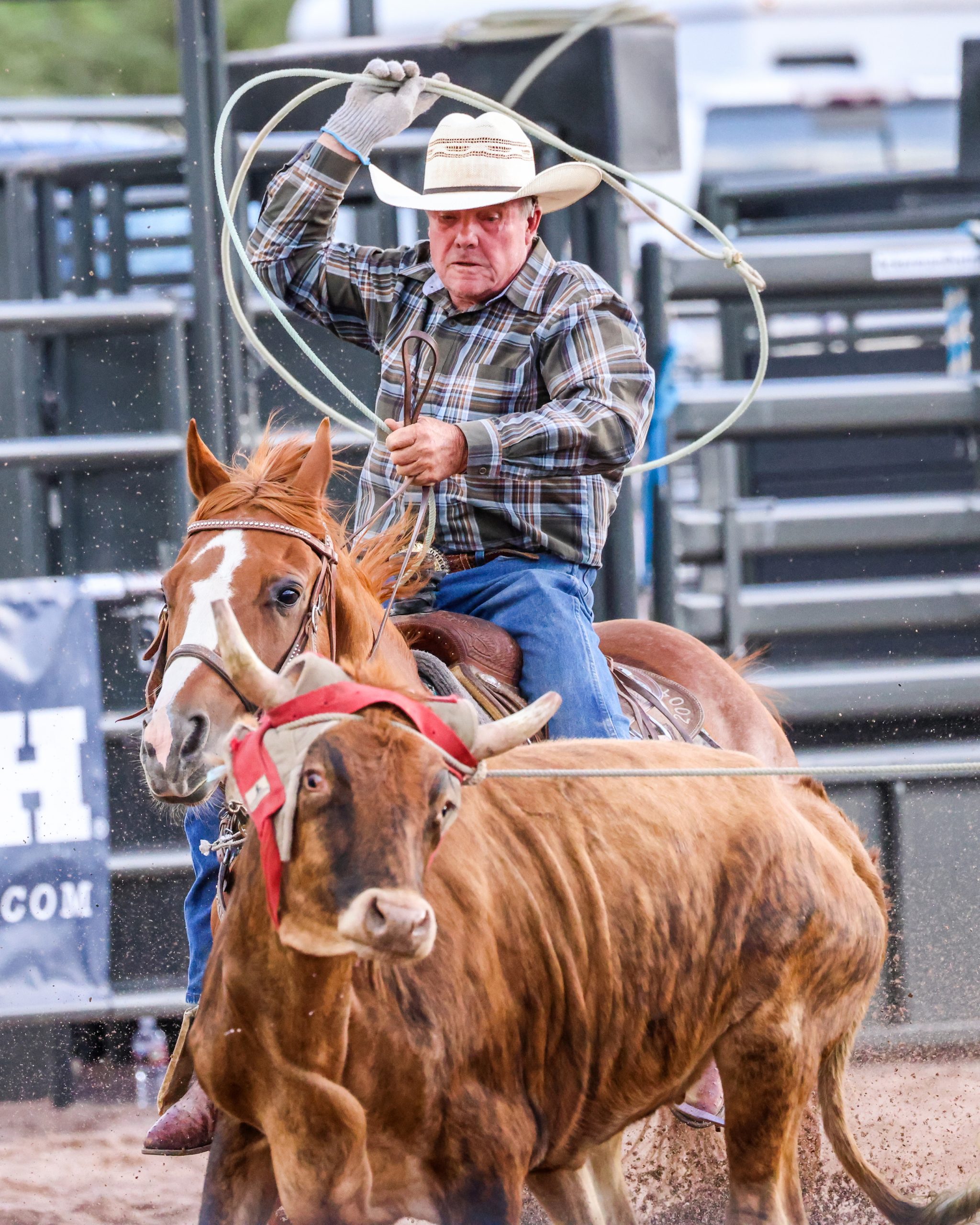 Rob Summers Rodeo PHOTOS: Snowmass Rodeo opens summer season in redesigned arena ...