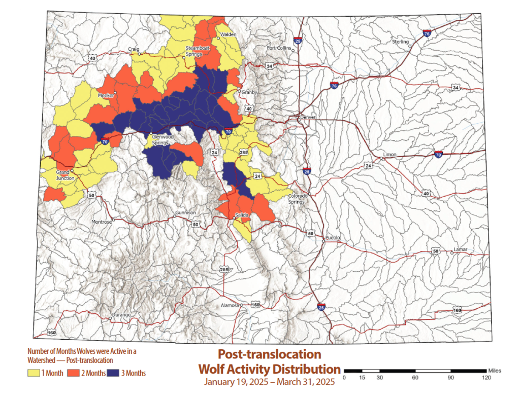 Colorado Parks and Wildlife/ Courtesy image