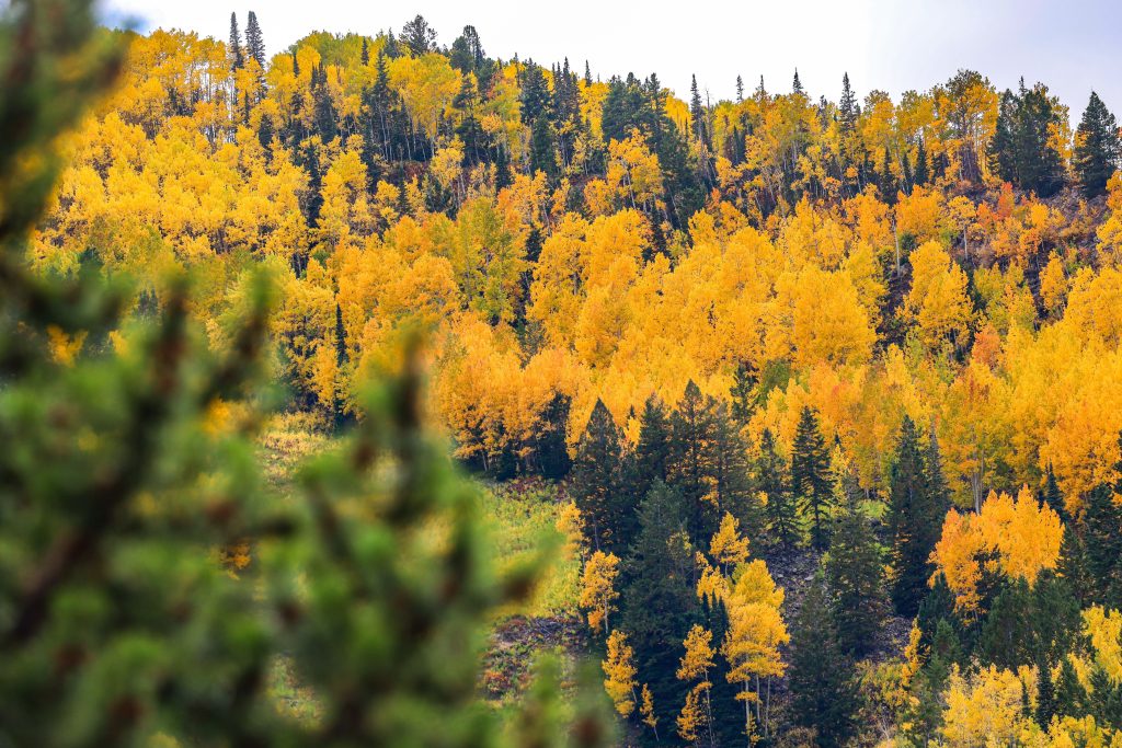 Colorado's fall outlook fuels hope for early-season snowfall as El Nino strengthens across the High Country