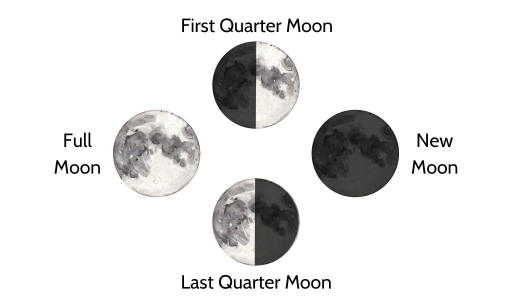 Sheridan Semple/Courtesy image