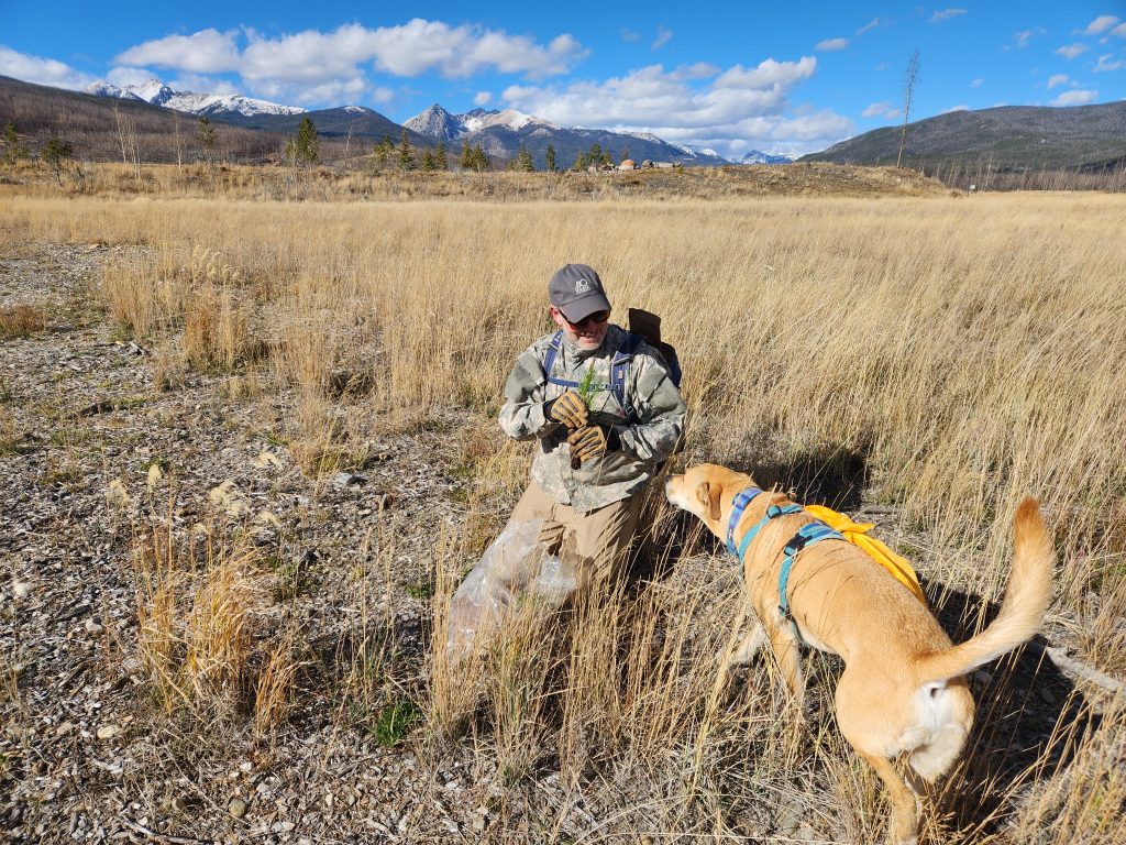 Robin Doner/Courtesy photo