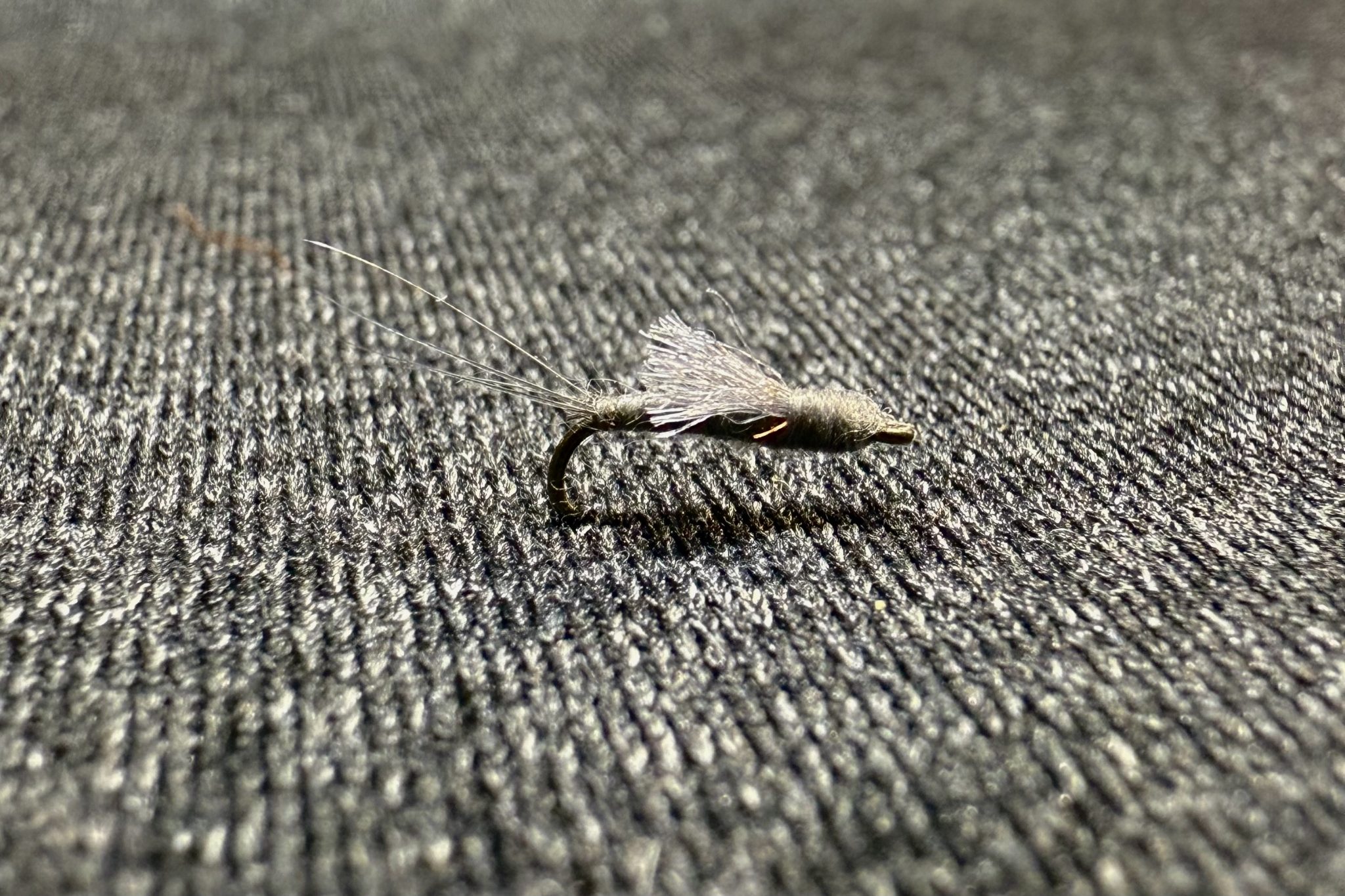 Snowmass Announces Full Lineup Of 2025 Winter Holiday Events snowmass-announces-full-lineup-of-2025-winter-holiday-events