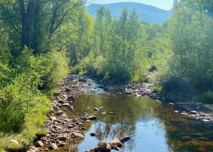 Aspen Journalism: Pitkin County looks to boost Roaring Fork streamflows with water purchase