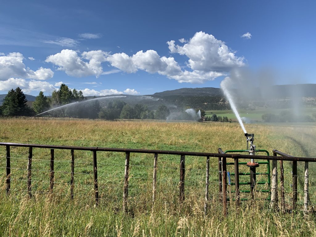 Heather Sackett/Aspen Journalism