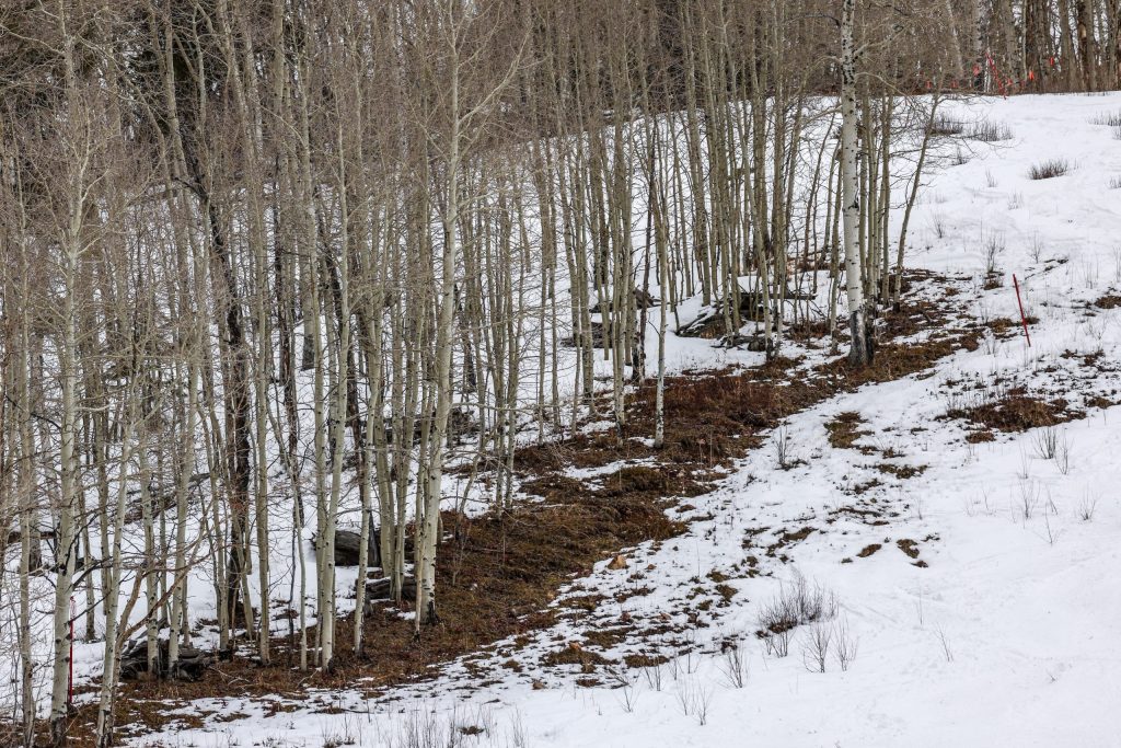 Pitkin County outlines long - term climate goals