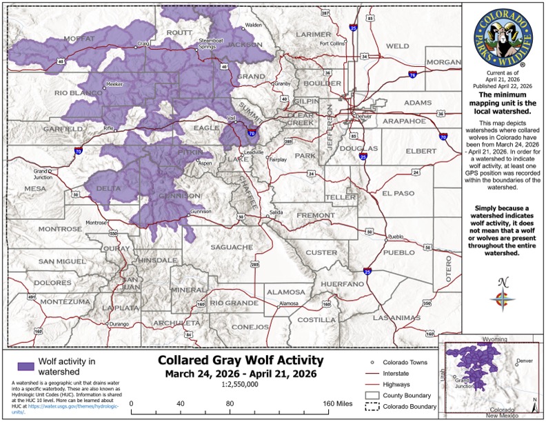 AVN-P9W地図2018 Northwest Colorado remains a hotspot for wolf activity in April
