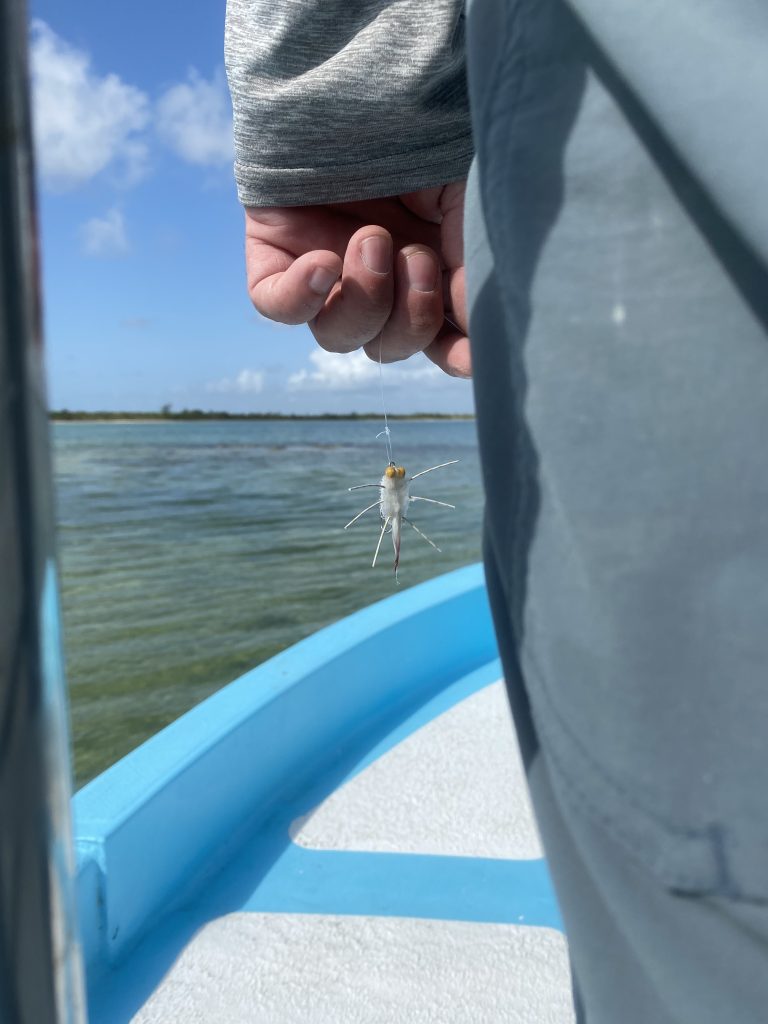 On the Fly: The most important thing