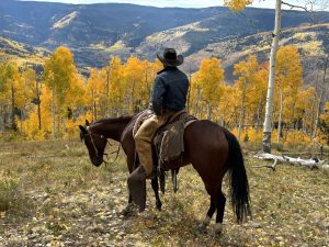 ‘An olive branch to producers:’ Colorado’s range rider program seeks to decrease wolf conflict, rebuild trust 