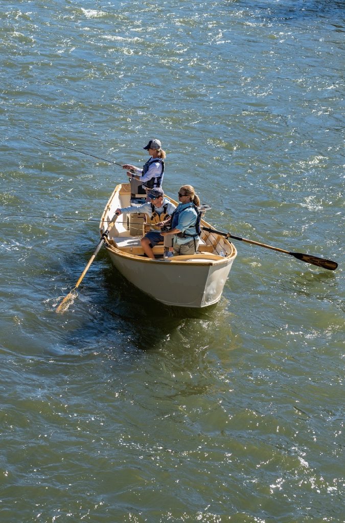 On the Fly: Here we go again