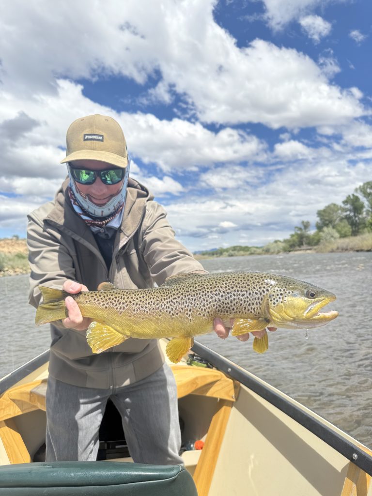 On the Fly: Embrace your inner scientist